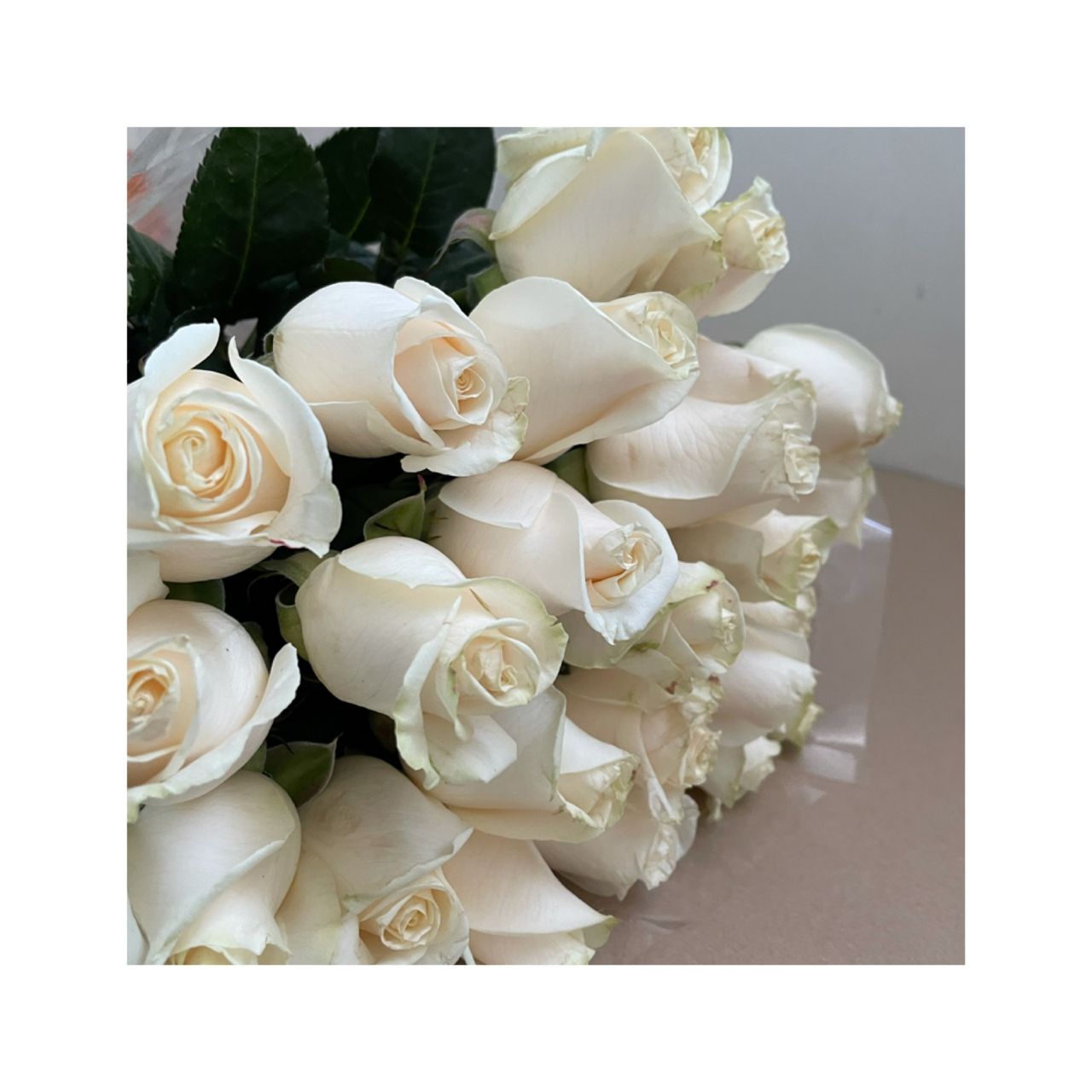 Rosas blancas