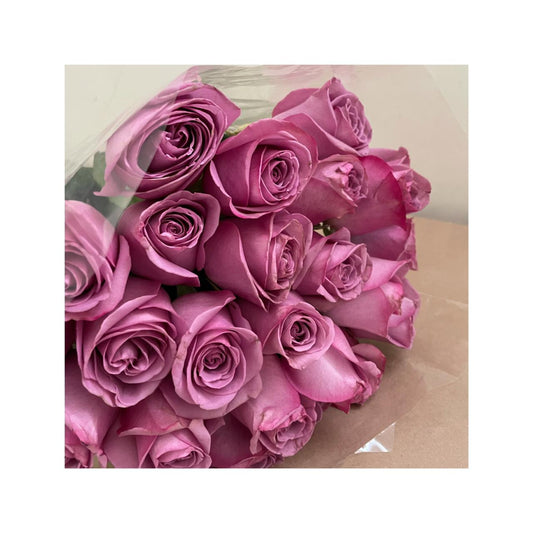 Rosas lila