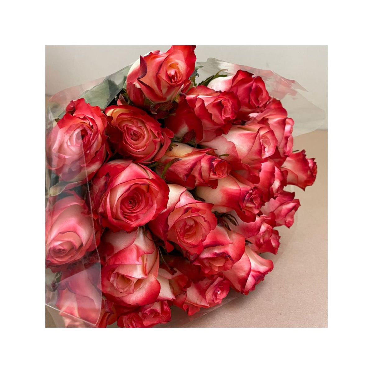 Rosas blush