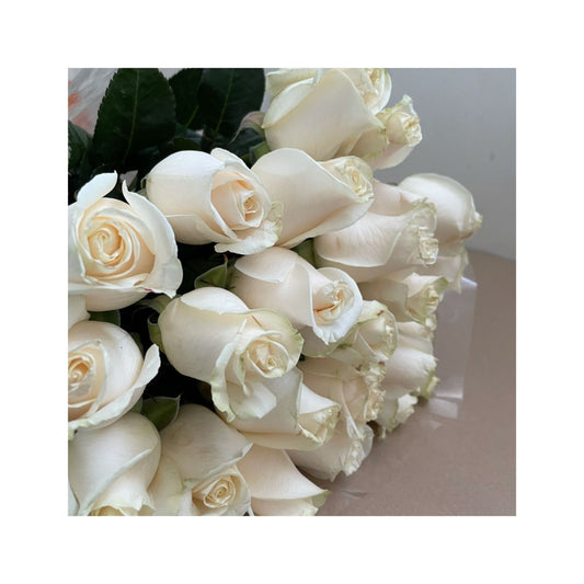 Rosas blanca